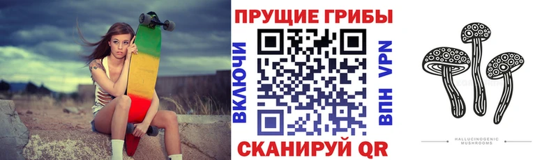 купить наркотики сайты  кракен вход  Псилоцибиновые грибы ЛСД  Алексеевка 